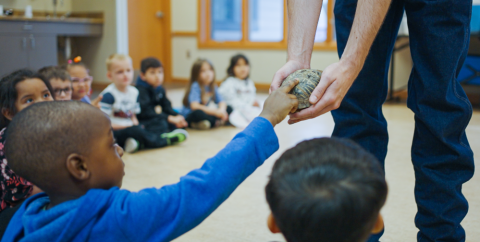 Child touching a turtle.